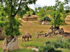 149 BIO PARC DE DOUE LA FONTAINE 4- 2016_000014